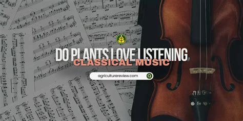 Does Classical Music Help Plants Grow? And Can It Also Make Them Dance?